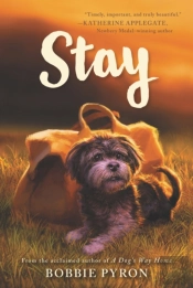 Stay
