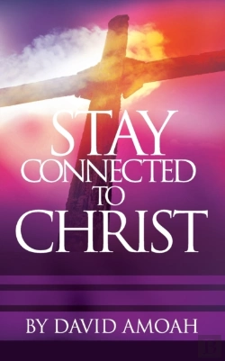 Bertrand.pt - Stay Connected To Christ