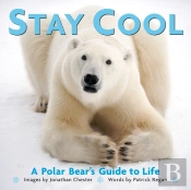 Stay Cool