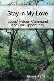 Stay In My Love