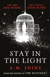 Stay In The Light