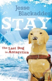 Stay