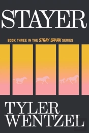 Stayer (Book Three In The Stray Spark Series)