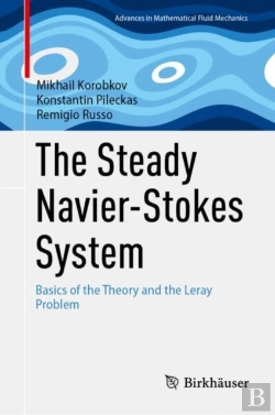 Bertrand.pt - Steady Navier-Stokes System