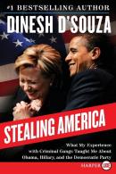 Stealing America Lp