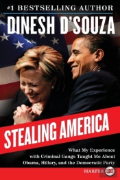 Stealing America Lp