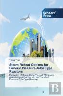 Steam Reheat Options For Generic Pressure-Tube Type Reactors