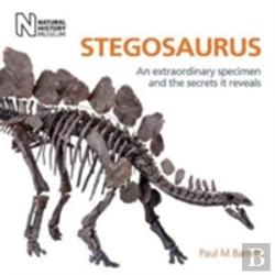 Bertrand.pt - Stegosaurus