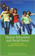 Steiner Educational And Social Issues