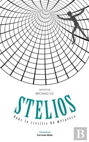 Stelios Dans Le Treillis Du Metavers