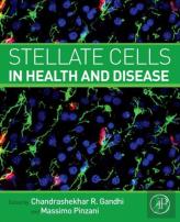Stellate Cells In Health And Disease