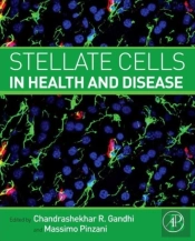 Stellate Cells In Health And Disease