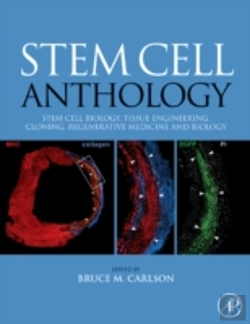 Bertrand.pt - Stem Cell Anthology