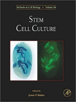 Bertrand.pt - Stem Cell Culture