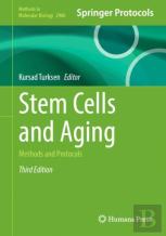 Stem Cells And Aging