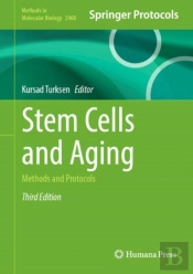Stem Cells And Aging