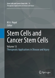 Stem Cells And Cancer Stem Cells, Volume 13