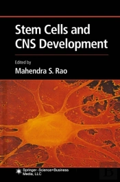 Stem Cells And Cns Development