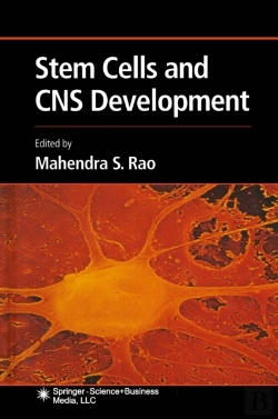 Bertrand.pt - Stem Cells And Cns Development