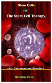 Stem Cells And The Stem Cell Therapy.
