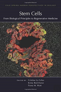 Bertrand.pt - Stem Cells: From Biological Principles To Regenerative Medicine