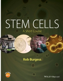 Bertrand.pt - Stem Cells