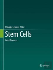 Stem Cells