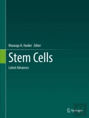 Stem Cells