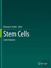 Stem Cells
