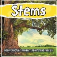 Stems