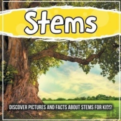 Bertrand.pt - Stems