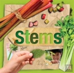 Bertrand.pt - Stems