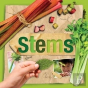 Stems