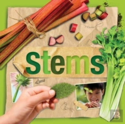 Bertrand.pt - Stems