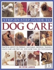 Step-By-Step Guide To Dog Care