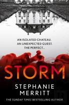 Stephanie Merritt Thriller Book 2