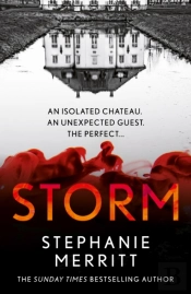 Stephanie Merritt Thriller Book 2