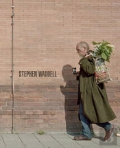 Stephen Waddell