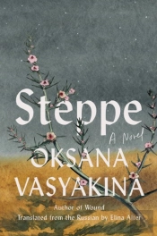 Steppe