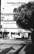 Stepping On Shadows