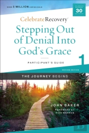 Stepping Out Of Denial Into God'S Grace Participant'S Guide 1