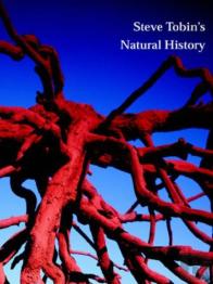 Steve Tobin'S Natural History