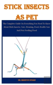 Stick Insects As Pet