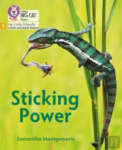 Bertrand.pt - Sticking Power