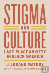 Stigma And Culture Â€“ Lastâ€“Place Anxiety In Black America