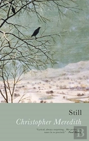 Still