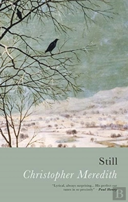 Bertrand.pt - Still