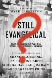 Still Evangelical? Â€“ Insiders Reconsider Political, Social, And Theological Meaning