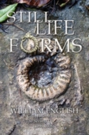 Still Life Forms