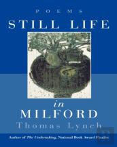 Still Life In Milford